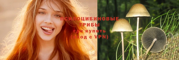 прущий лед Арсеньев