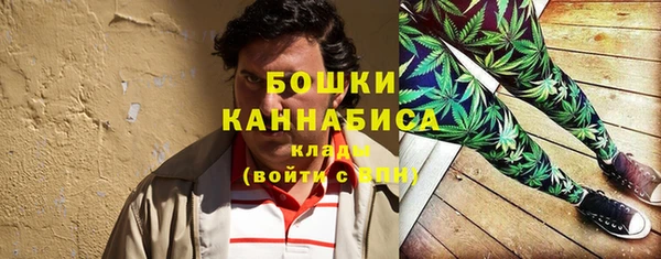 прущий лед Арсеньев