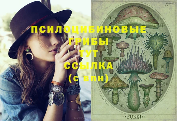 дурь Аркадак