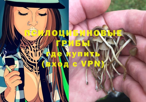 прущий лед Арсеньев