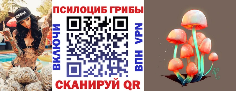 Галлюциногенные грибы прущие грибы  Зуевка 